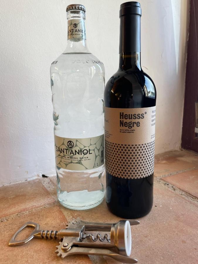 Mas La Ginesta - Ideal Per Families Amb Infants Borrassá מראה חיצוני תמונה